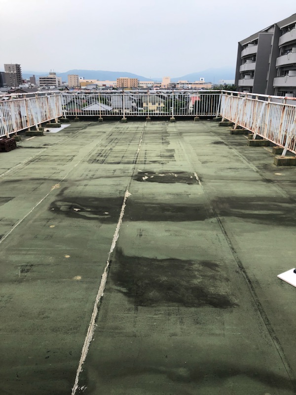 屋上防水点検