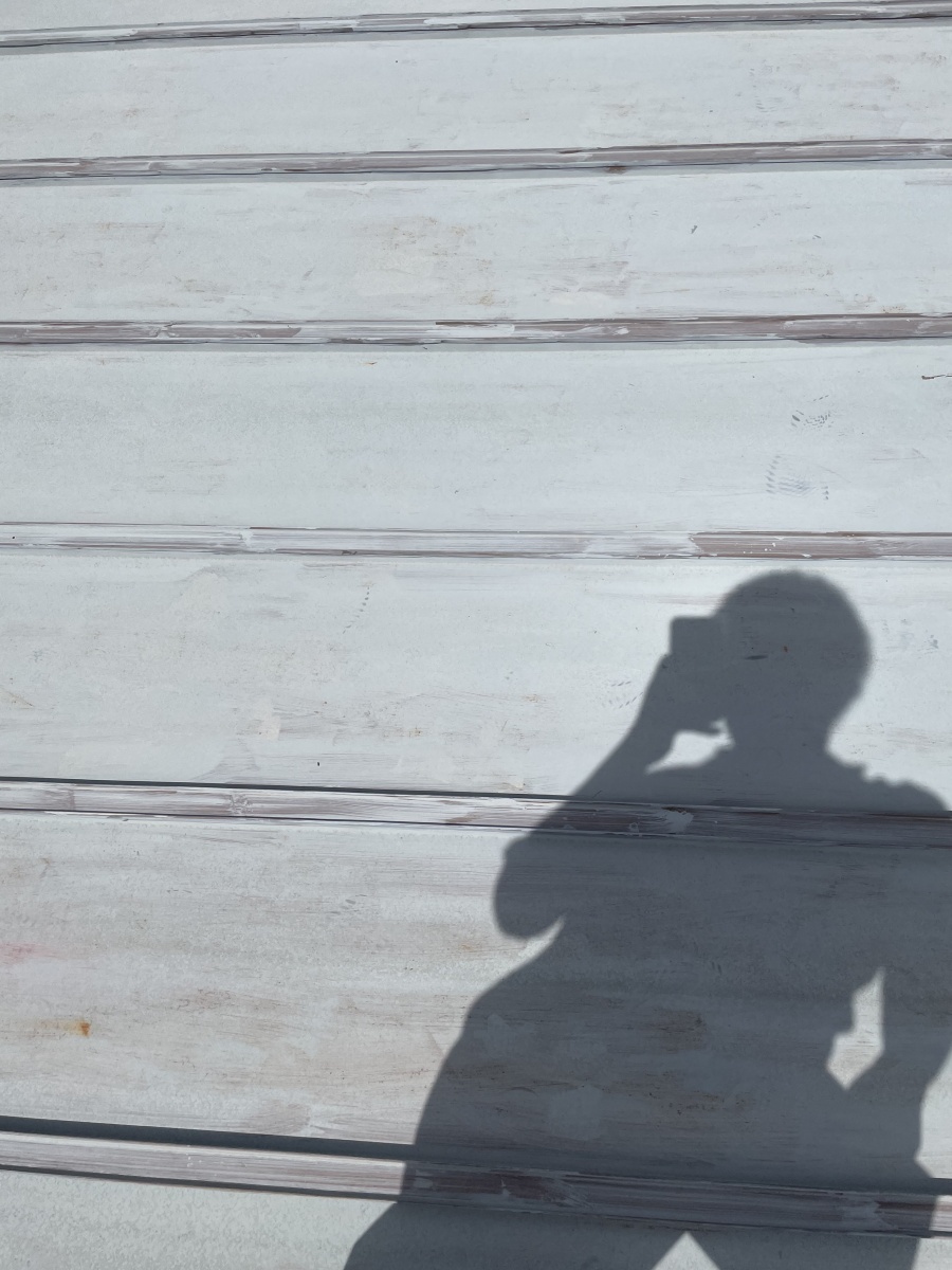 屋根塗装見積調査