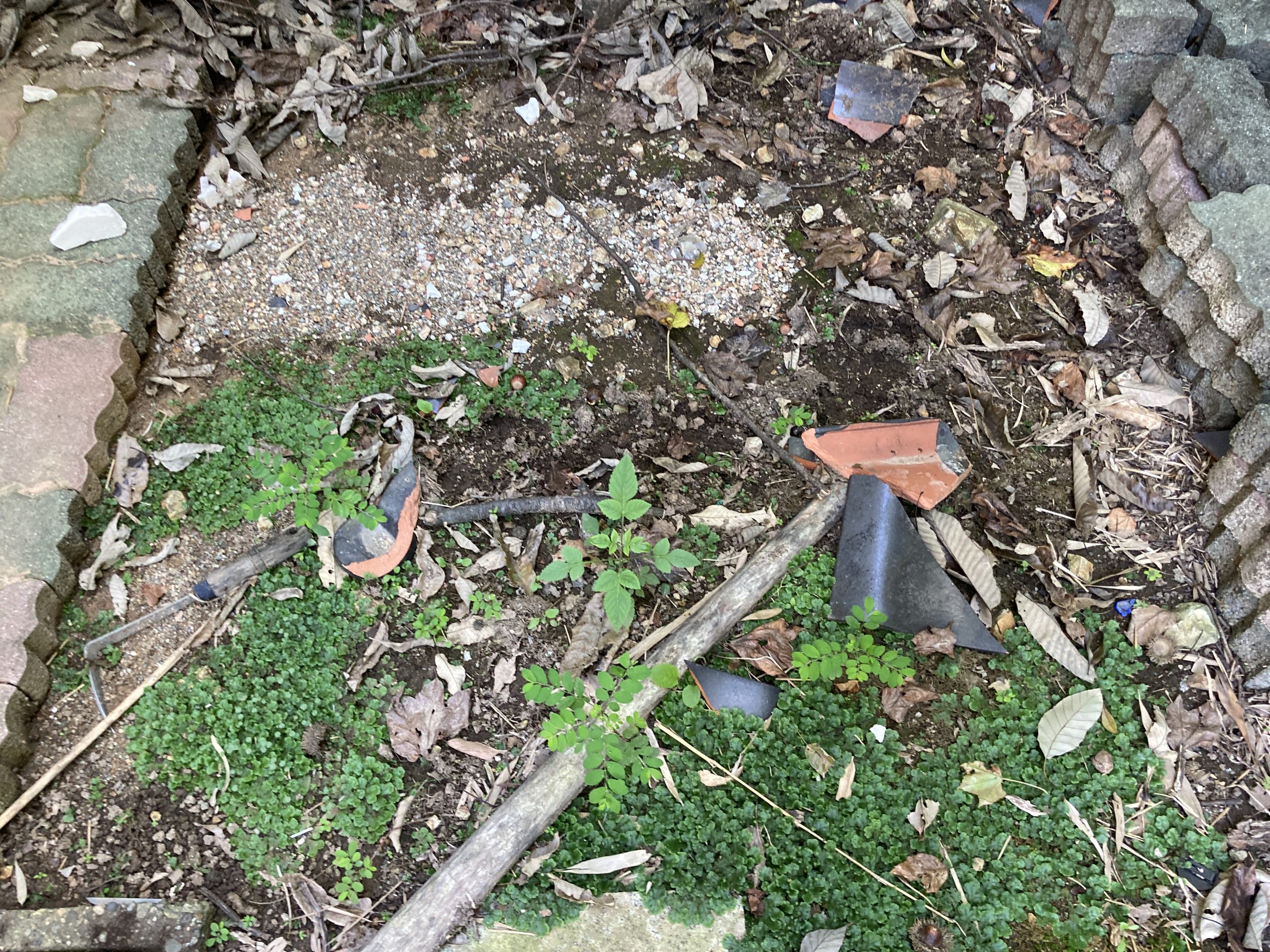 瓦の割れ　現調　庭先に落ちた瓦