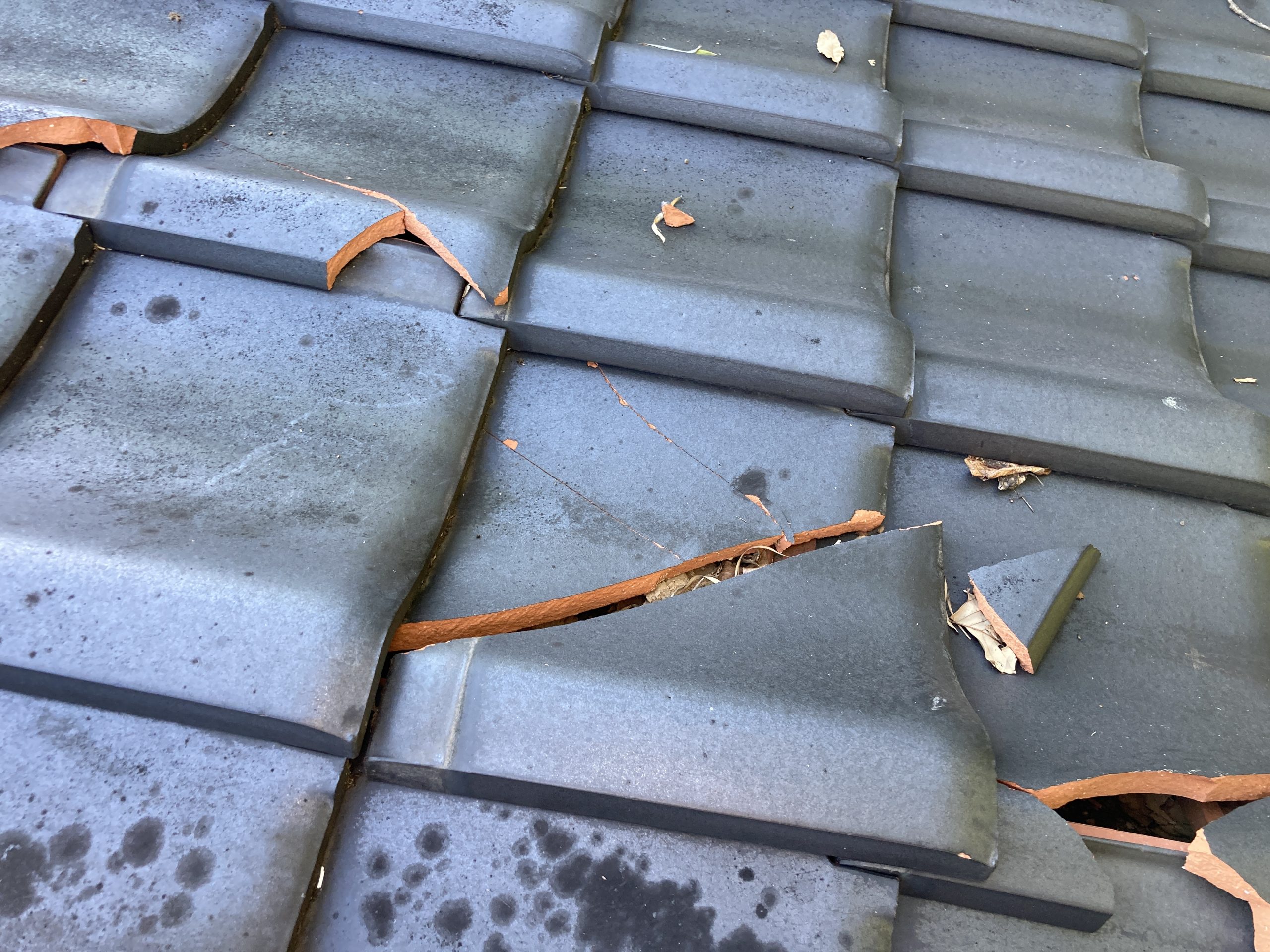 瓦の割れ　現調