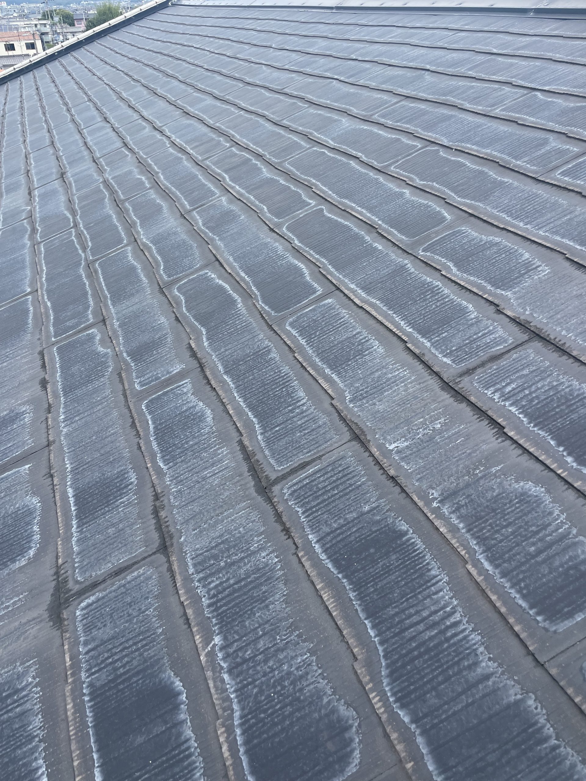 屋根スレート調査