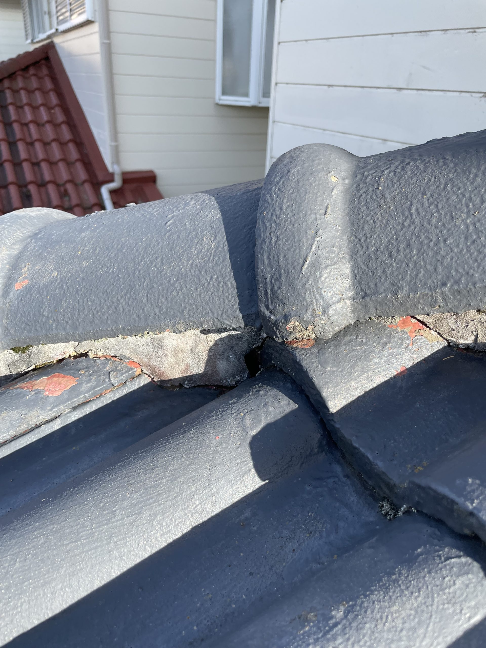 屋根メンテナンス