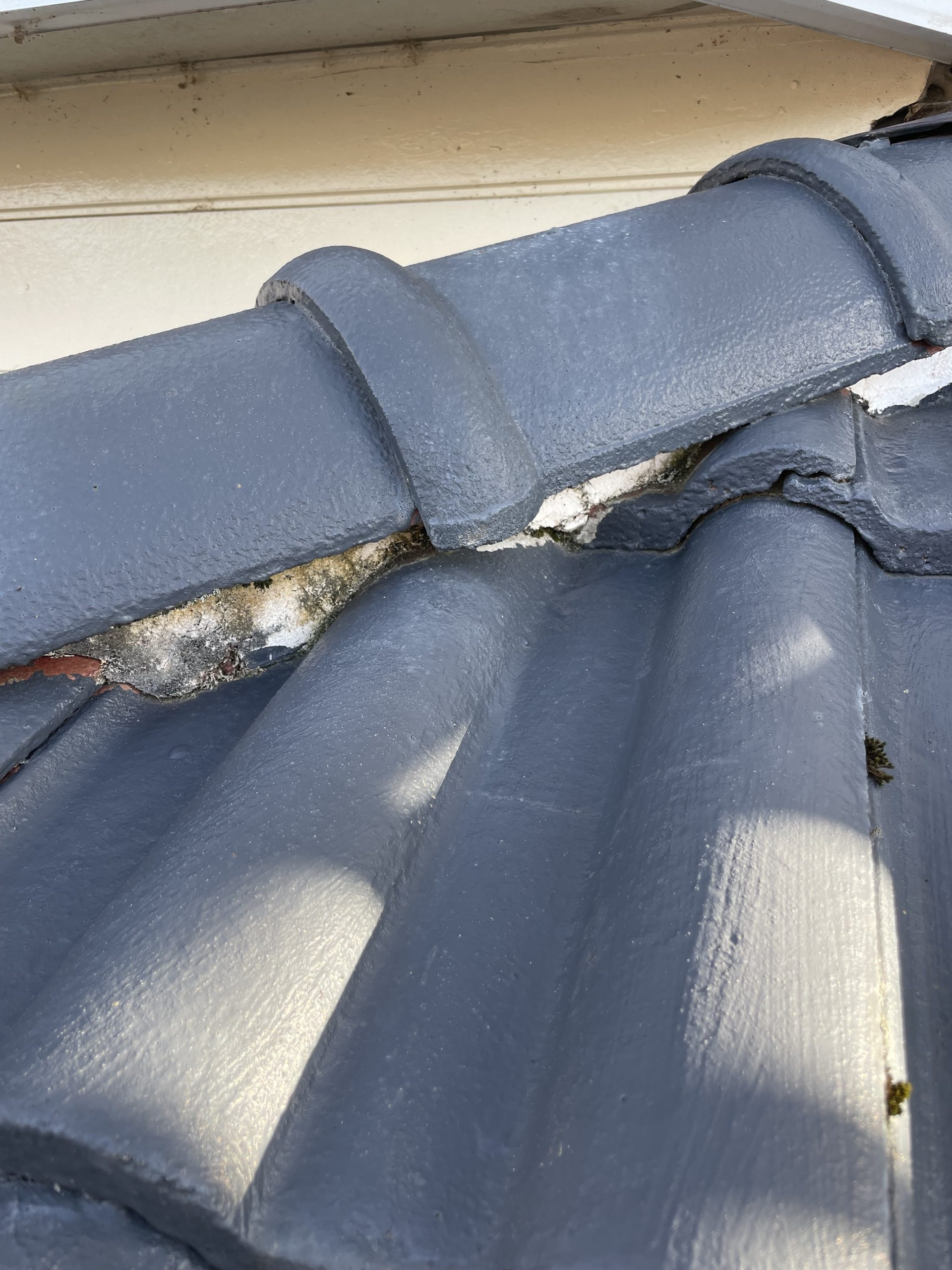 屋根メンテナンス