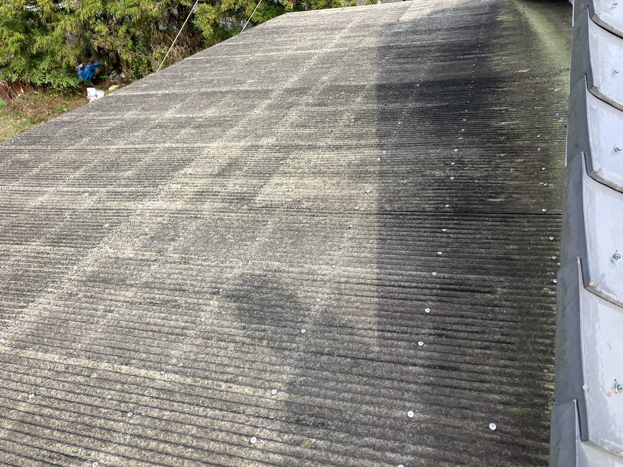 波板屋根全体の劣化状況を確認