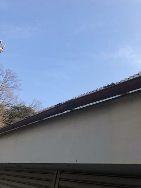 雨樋