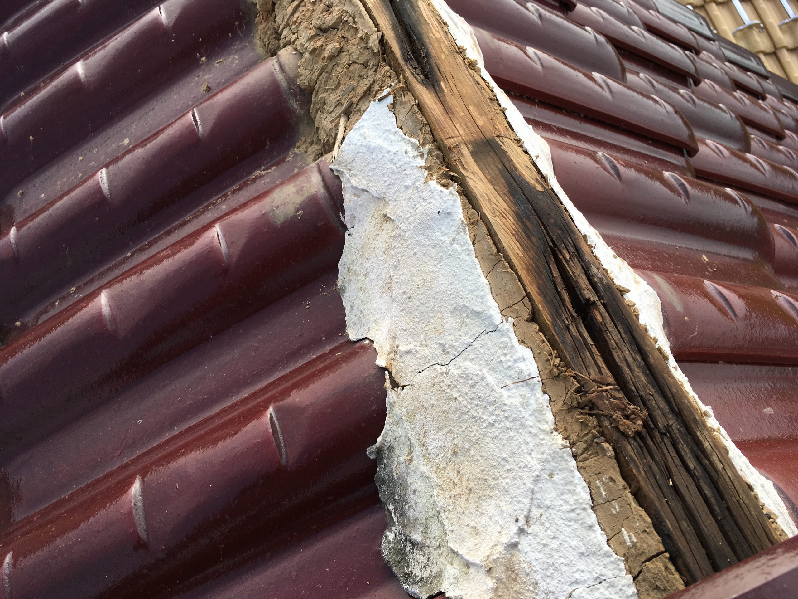 岐阜市突風被害　瓦割れ　応急処置