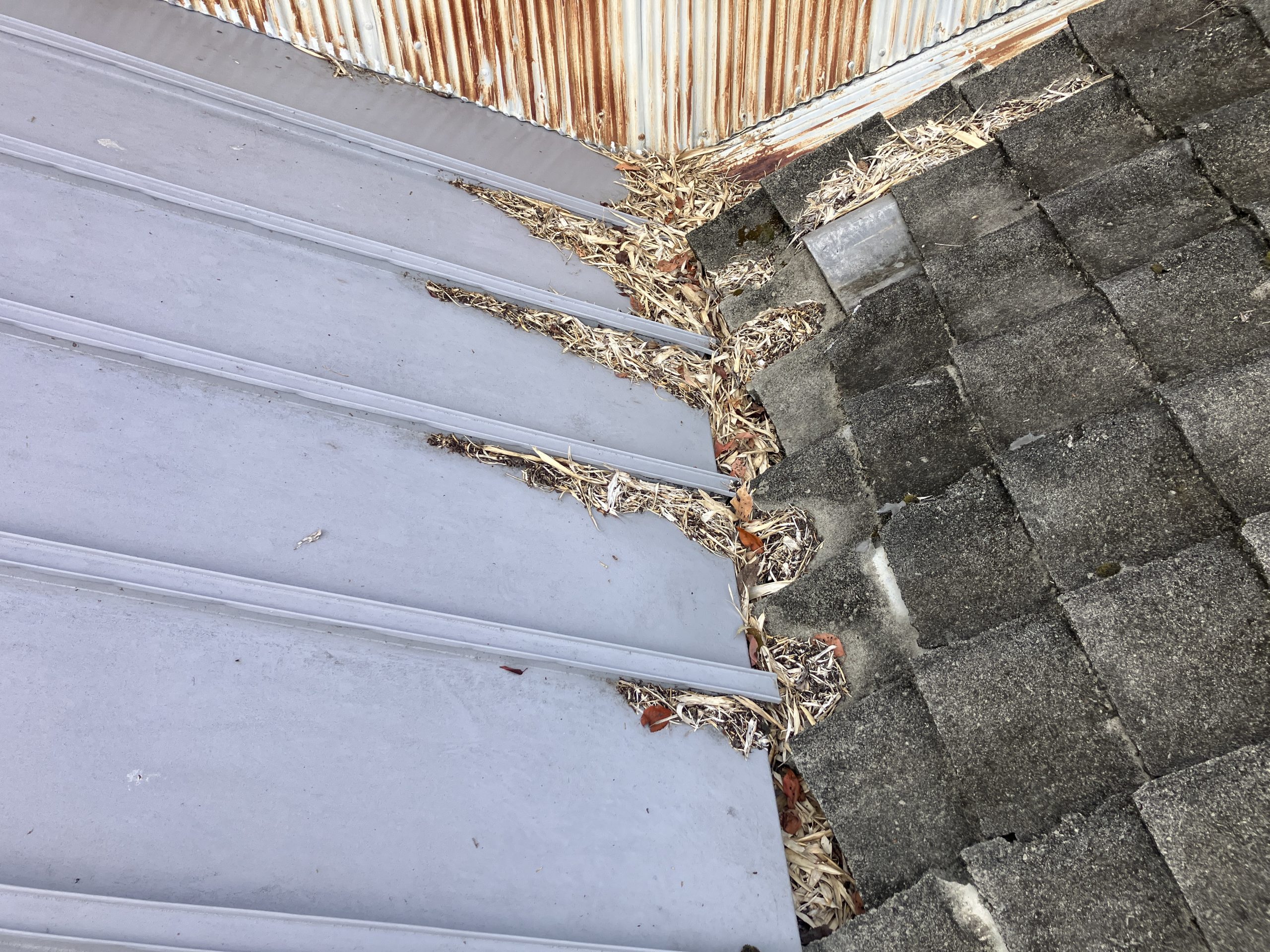 雨樋の掃除　施工前の雨樋の写真　笹の葉の堆積