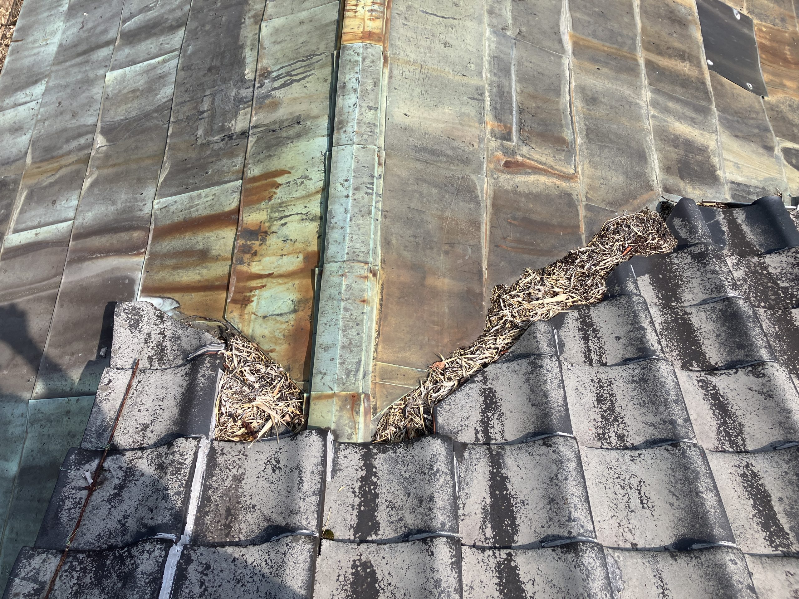 雨樋の掃除　施工前の雨樋の写真　笹の葉の堆積