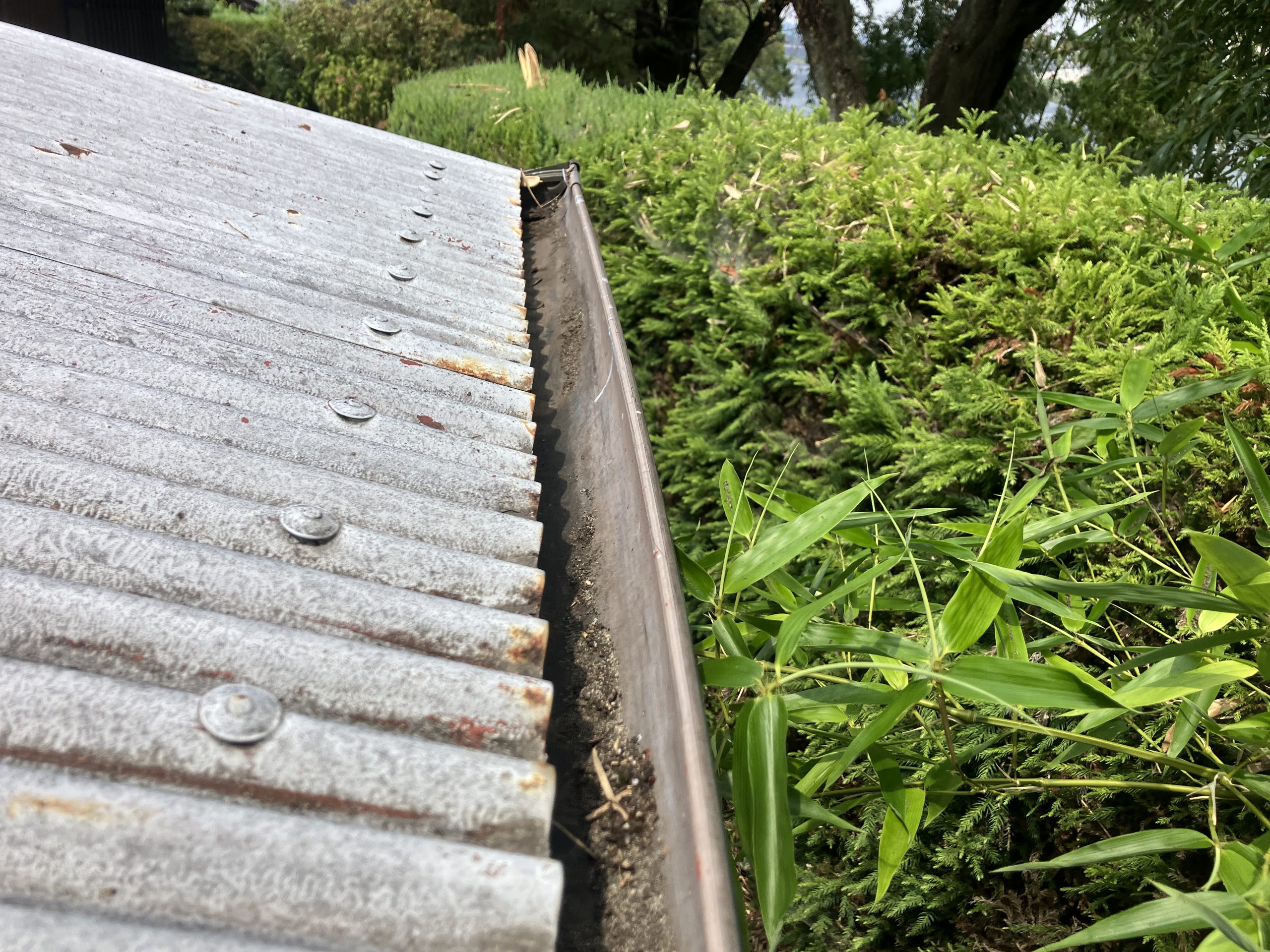 雨樋の掃除　施工後の雨樋の写真
