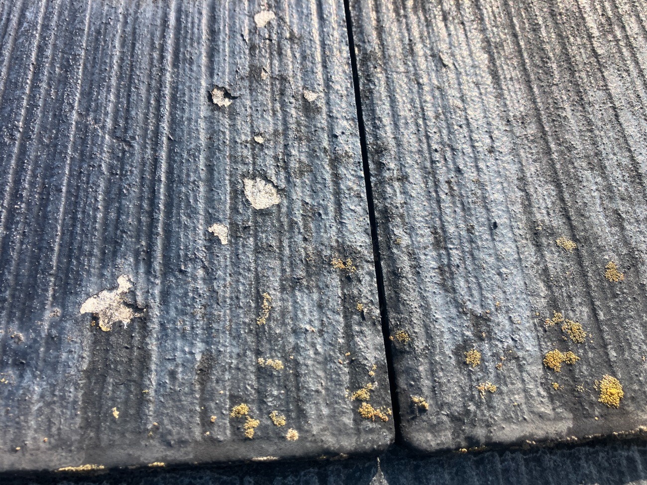 塗膜の剥がれと苔の発生