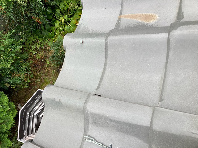 端の瓦が釘で固定されている