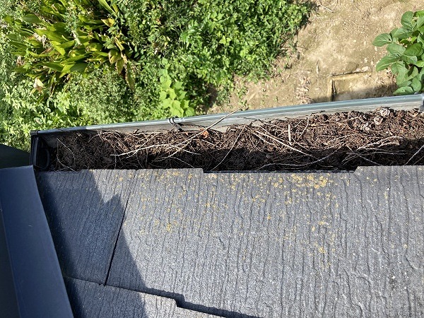 軒先の雨樋に大量の落ち葉