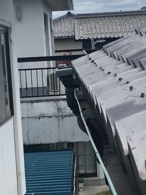 雨樋