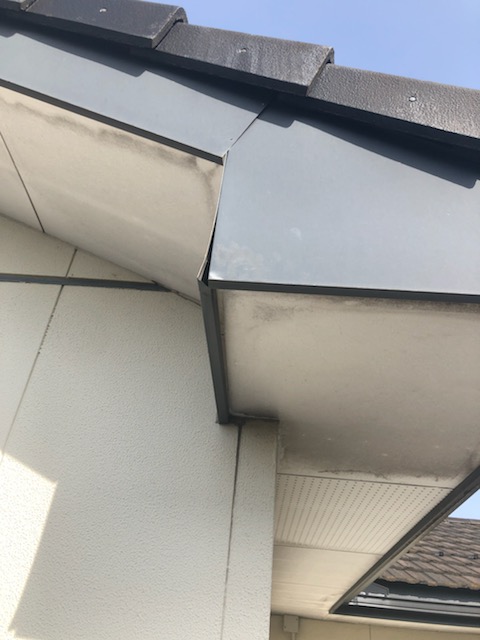 軒天