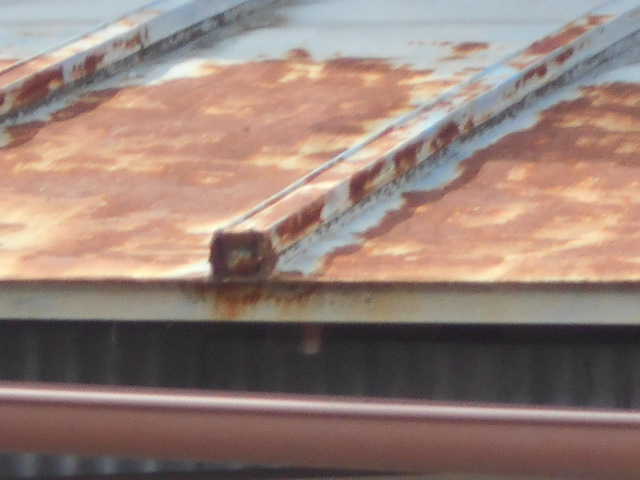 カラートタン瓦棒屋根調査