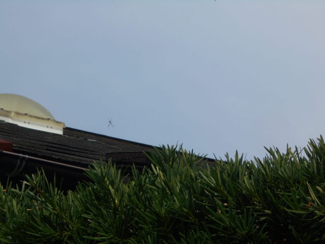 カラーベスト板金