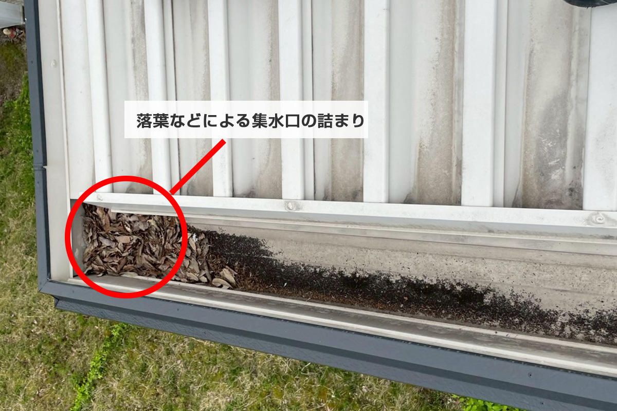 雨樋のつまり１