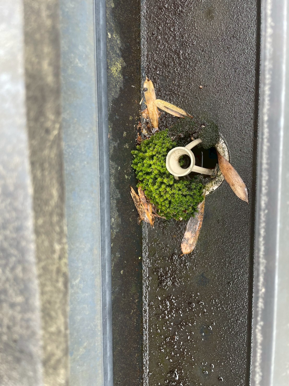 詰まった自在ドレン