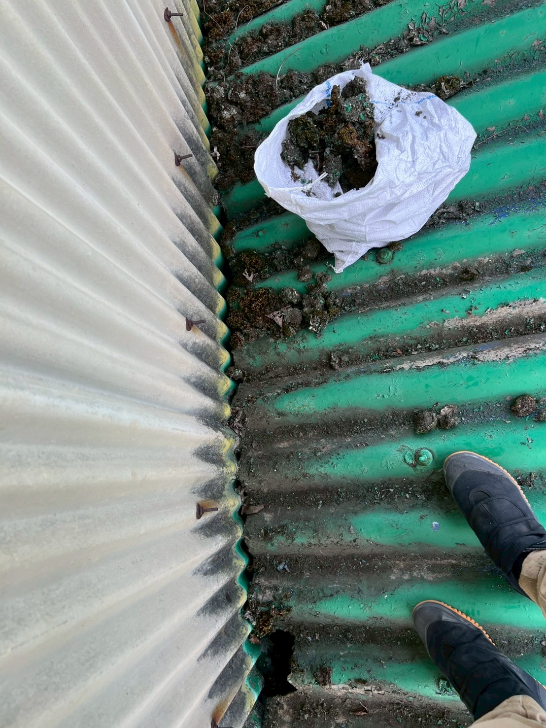 工場屋根の清掃