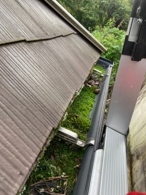 苔が生えた雨樋