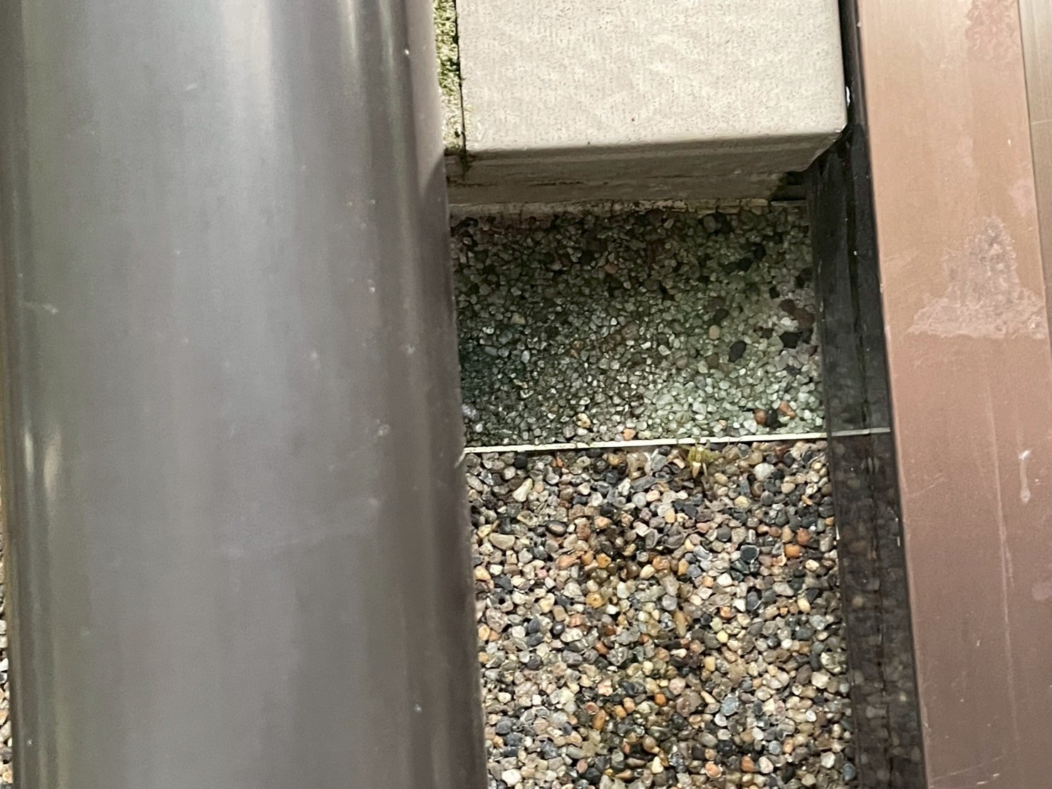 水が染み出した外壁