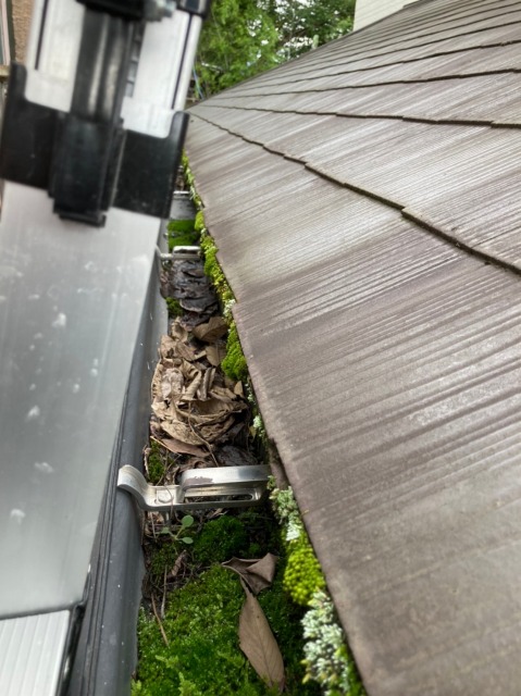 枯葉が詰まった雨樋