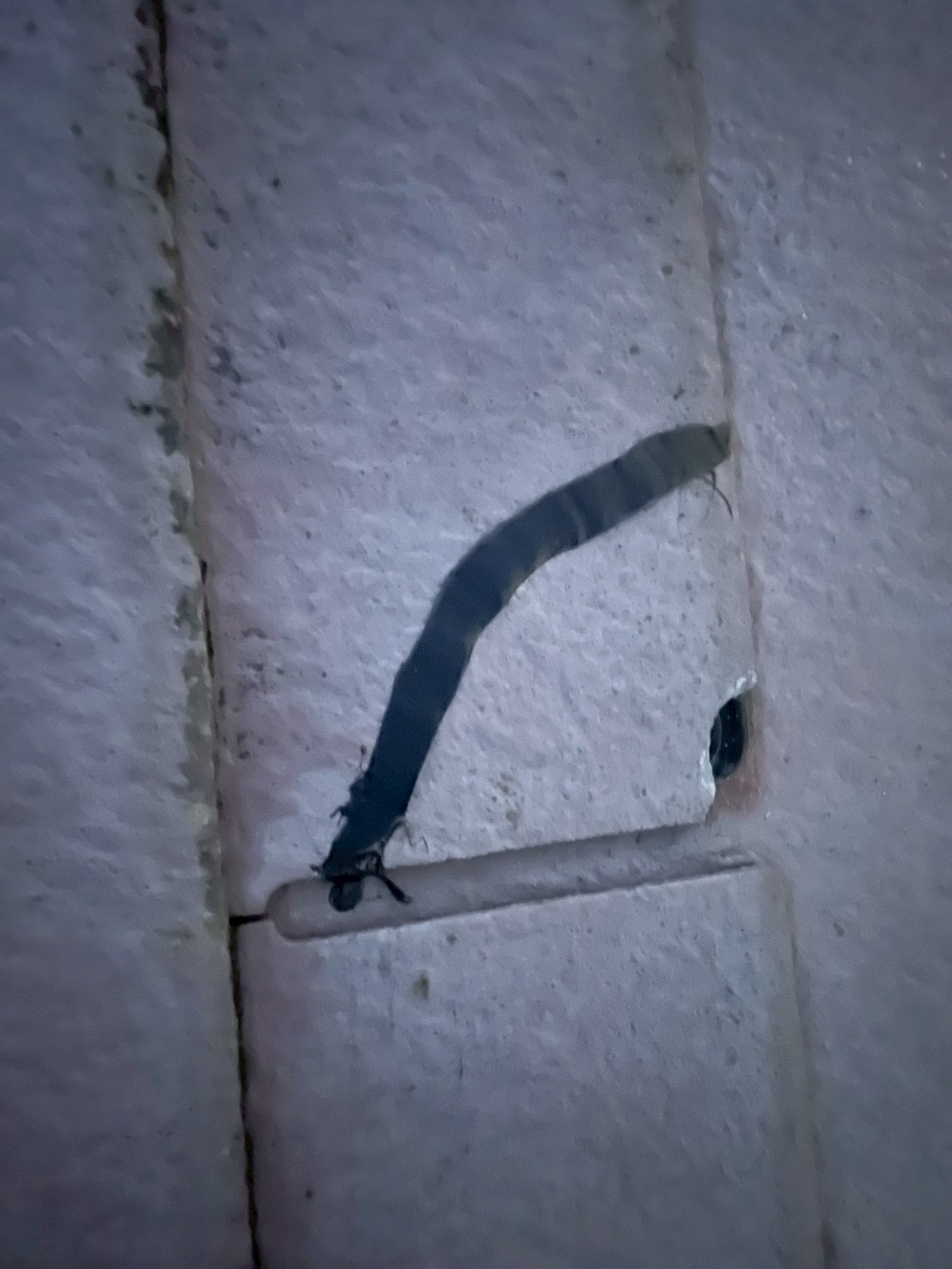 スレート瓦の補修