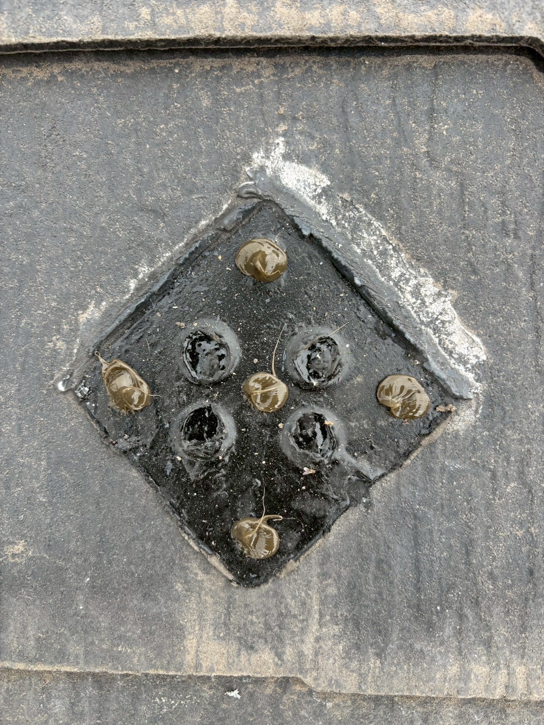 コーキングで埋めた金具跡