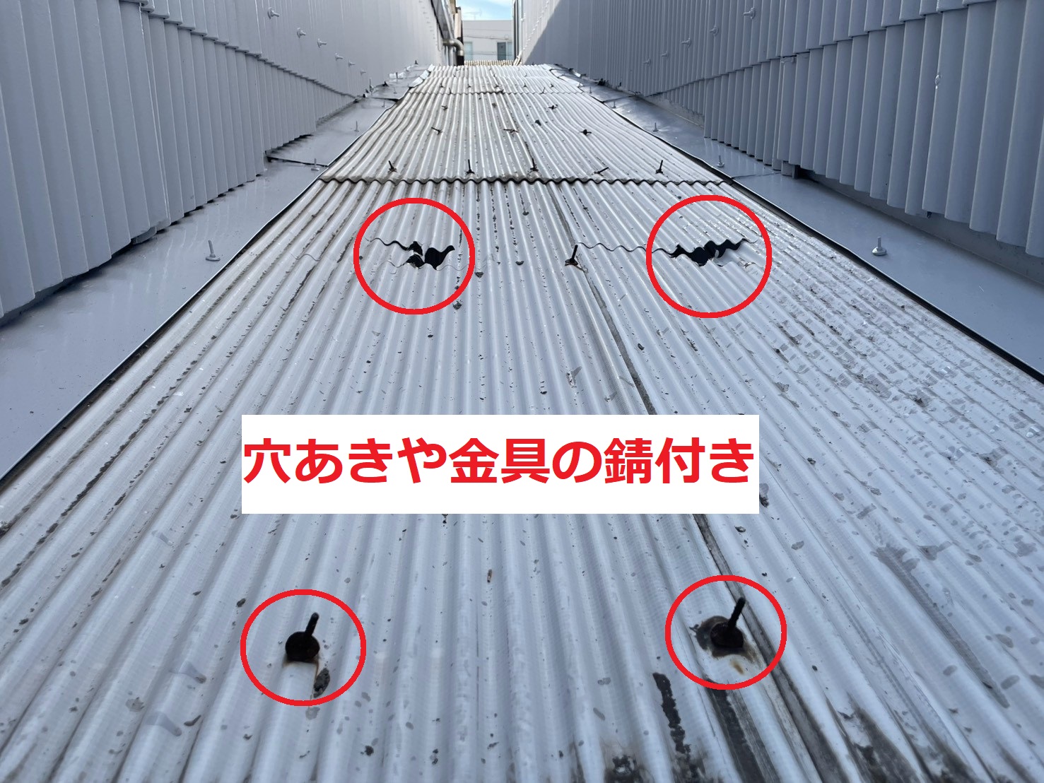 劣化した波板屋根