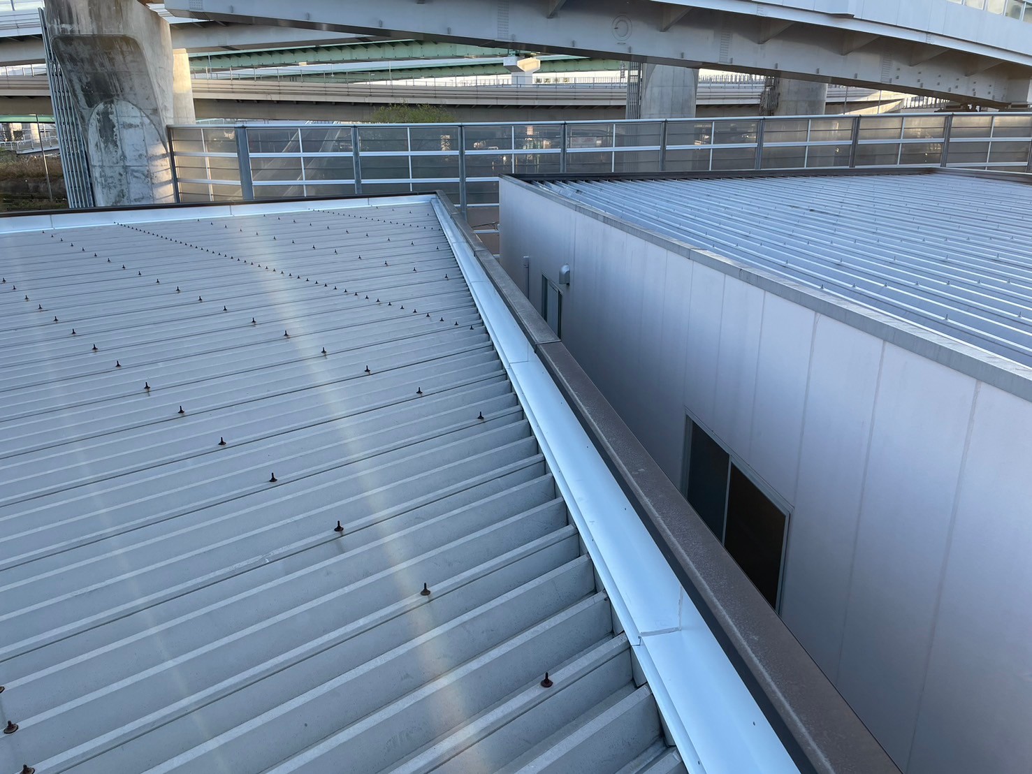 パラペット修繕