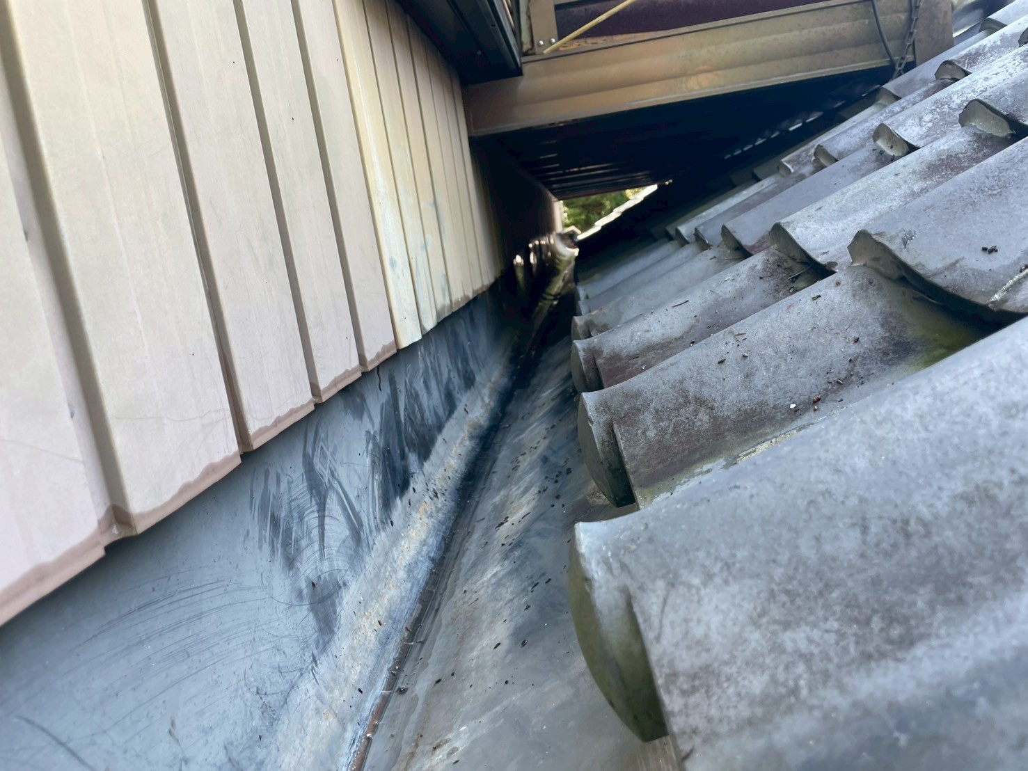 清掃した樋