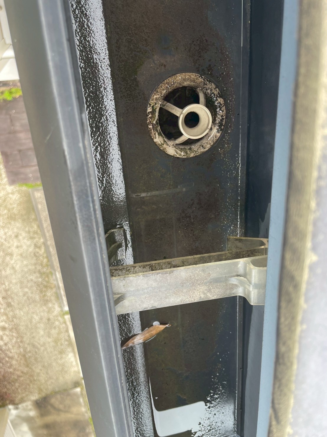 清掃した軒樋