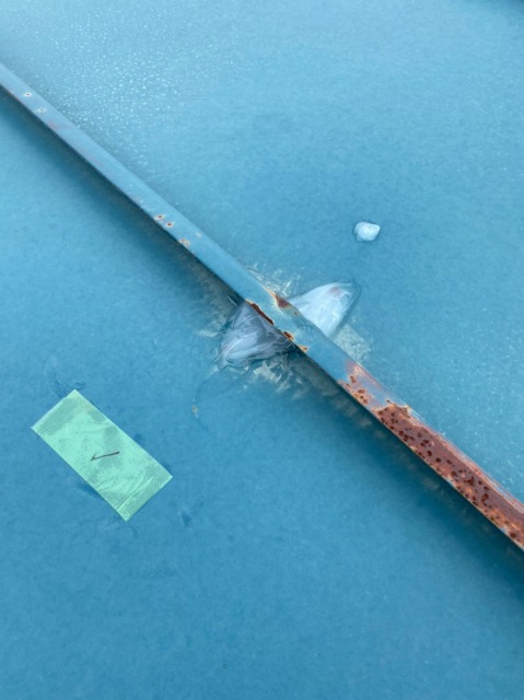 コーキングを塗布した折板屋根