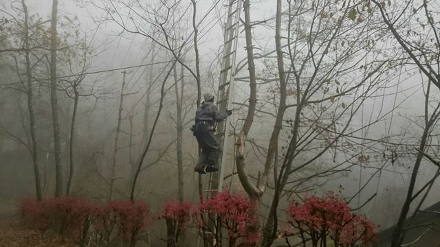 茅野市北山A邸伐採作業