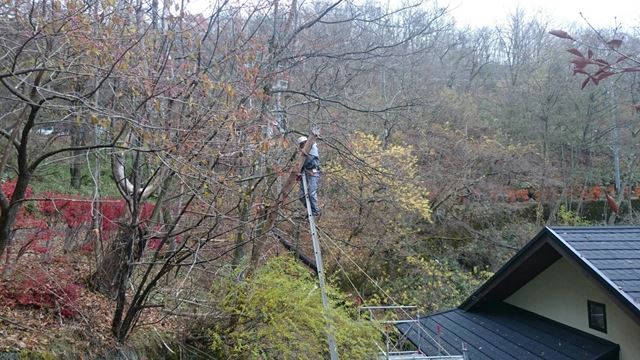 茅野市北山A邸伐採作業