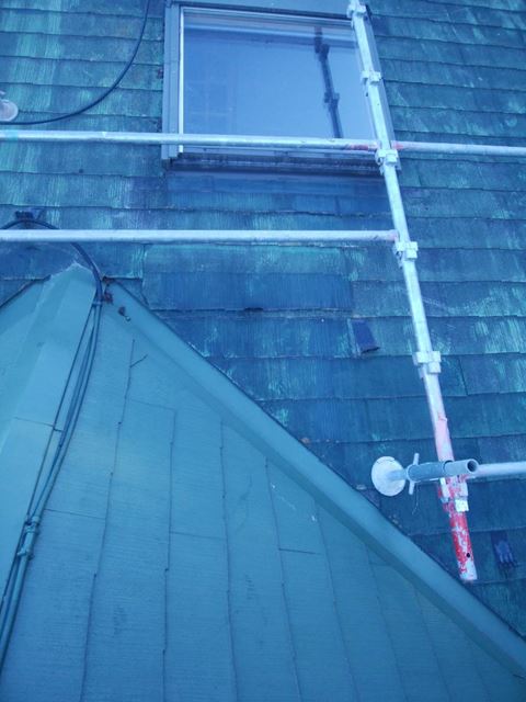 北杜市　動物病院