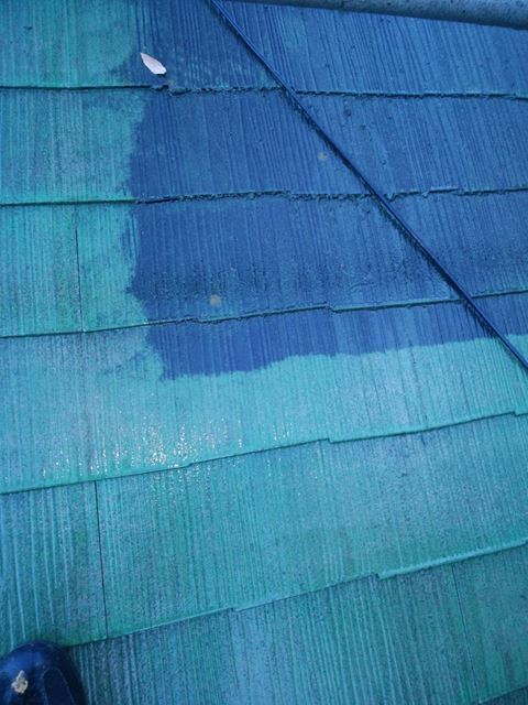 北杜市　動物病院