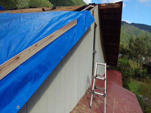 台風被害屋根工事