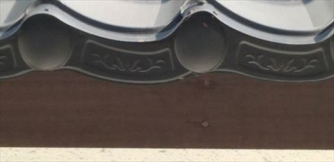 金属瓦葺き替え