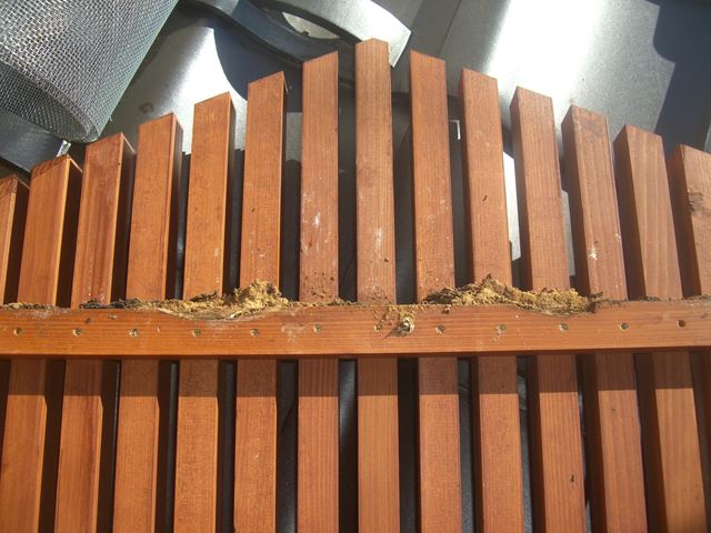 塩尻市コウモリ対策