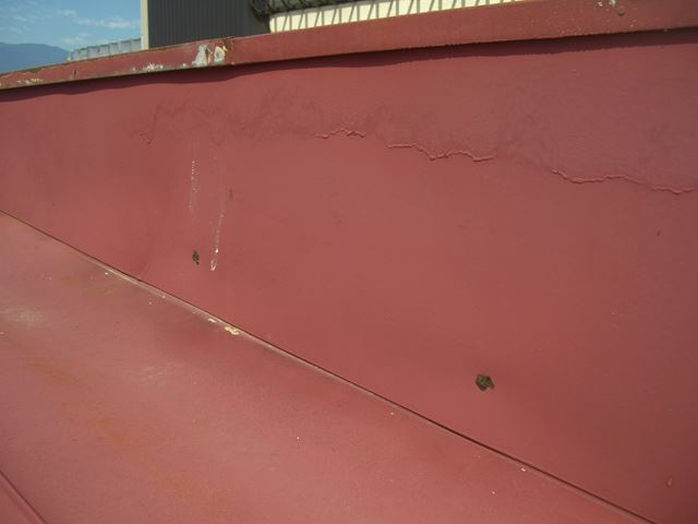 松本市埋橋カサギN様