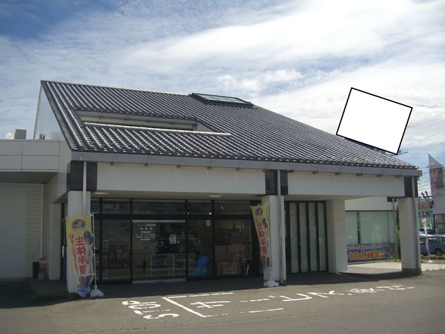 松本市村井ペットショップ