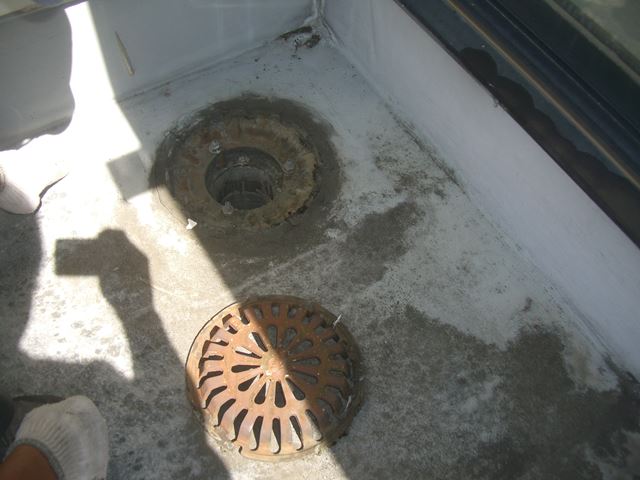 松本市村井ペットショップ