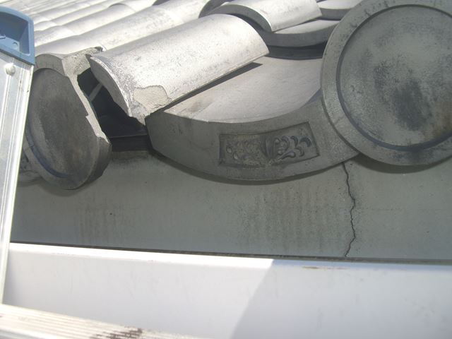 松本市村井ペットショップ