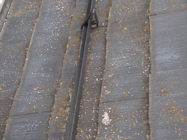 下諏訪屋根壁現調