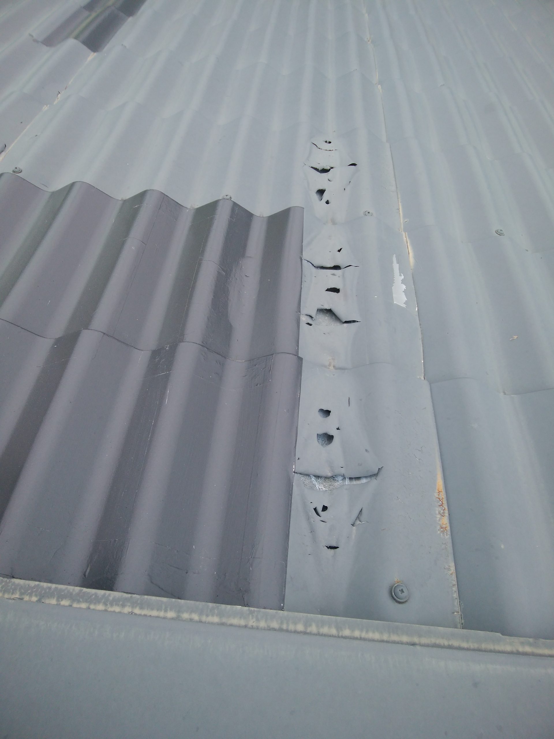 山川邸下見調査2