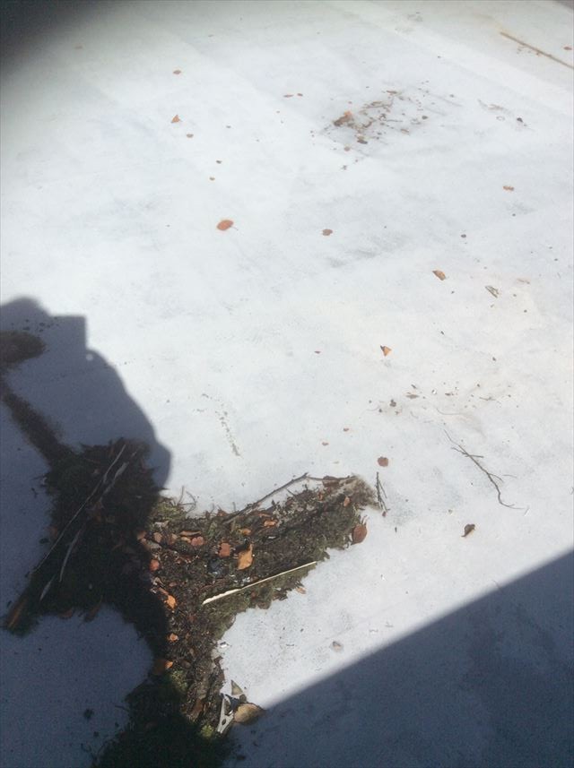 松本市波田ベランダ防水