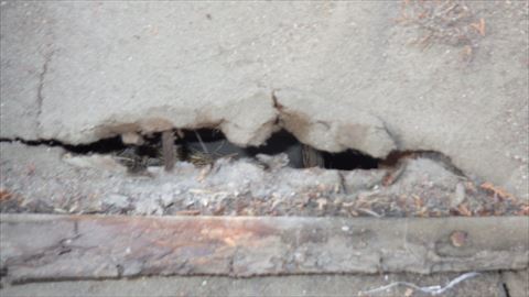 セメント瓦葺き直し