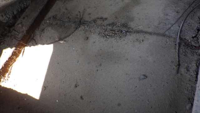 ルーフィング　雨漏り