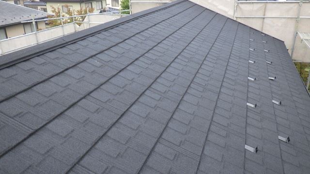 山形村メリッサその3